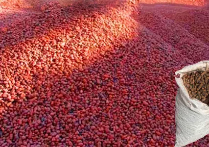 Фото №0 Керамзит в мешках 5-10 0.04 м.куб