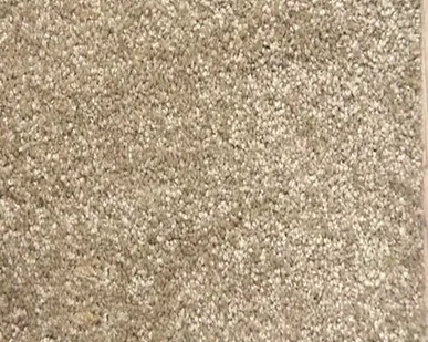 фото Ковролин Ideal Echo 331