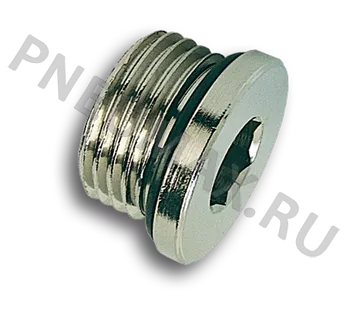 фото 107M5 - Заглушка с уплотнительным кольцом наруж. резьба M5