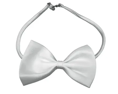 фото Бабочка LTR YP-43 White - LTR