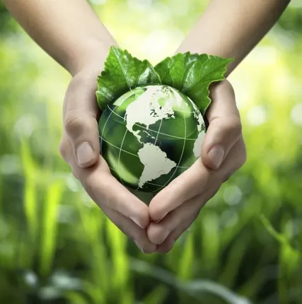 Фото №0 Экологические изыскания