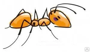 фото Дезинсекция общественных мест от муравьев