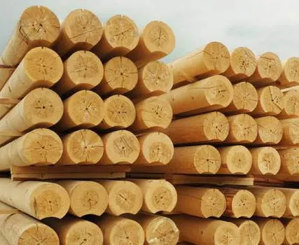 Фото №0 Бревна оцилиндрованные (ель, сосна)