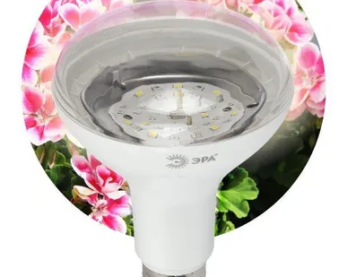 фото Лампа светодиодная для растений FITO-15W-Ra90-E27 BR30 15Вт 220-240В полноспектральная бел. спектр ЭРА Б0039173