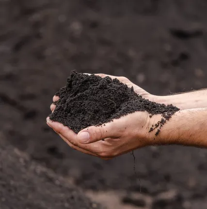 Фото №0 Грунт растительный с доставкой в Усть-Ижора