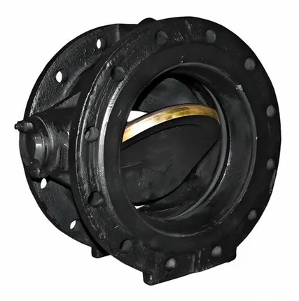 Фото №0 Клапан обратный 19ч24бр