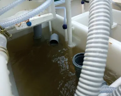 фото Установка септика