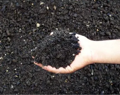 фото Асфальтный срез