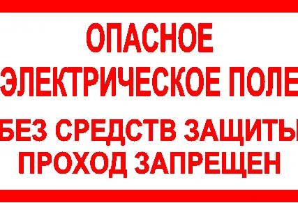 Фото №0 Знак ЭБ 10 "Опасное электрическое поле"
