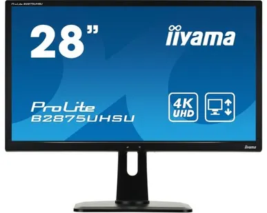 фото Монитор Iiyama ProLite