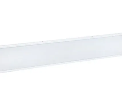 Фото №0 Накладной аварийный светодиодный светильник OS-NIP-44-A1-40L