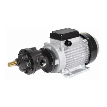 Фото №0 Электрический масляный насос, 230 V - 50 Hz, 25 л / мин