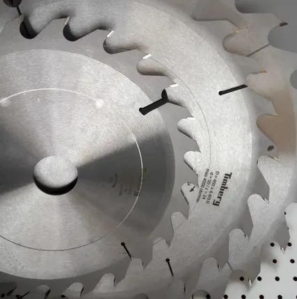 Фото №0 Дисковая пила Wood-Mizer