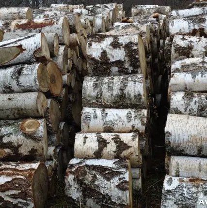 Фото №0 Дрова берёза