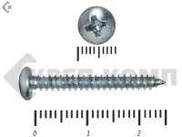 Фото №0 Шуруп с полукруглой головкой DIN7981 4,8х25 (6000шт)