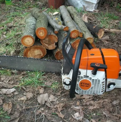 Фото №0 Спиливание деревьев