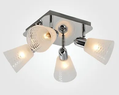 фото Спот 20053/4 хром