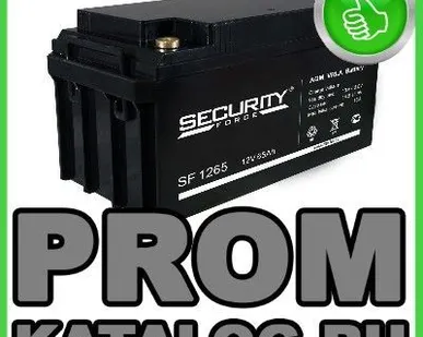 фото Аккумуляторы промышленные Security Force