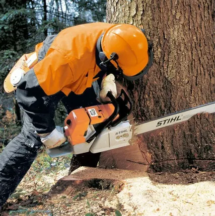 Фото №0 Спиливание деревьев