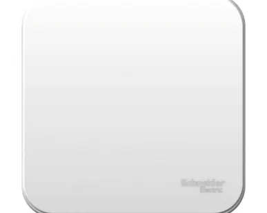 фото Переключатель 1-кл. ОП Blanca 10А IP20 (сх. 6) 250В с изолир. пластиной бел. SchE BLNVA106011
