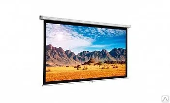 фото Проекционный экран Projecta Slimscreen (10200062) 160х160 см.