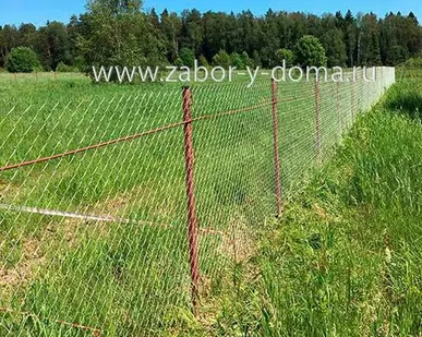 фото Забор из сетки рабицы