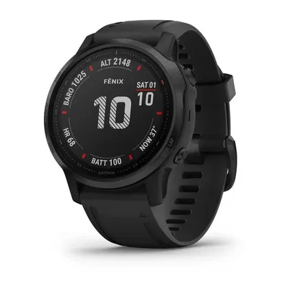 Фото №0 Часы Garmin Fenix 6S Pro черный с черным ремешком