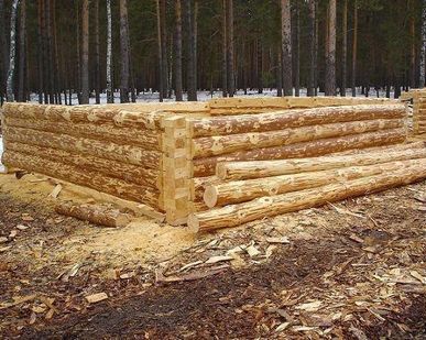 фото Срубы