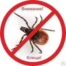 фото Уничтожение клещей