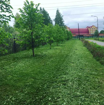 Фото №0 Покос травы триммером по низкой цене за сотку Тюмень.