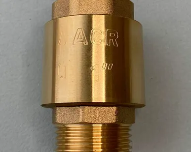 фото Обратный клапан 1"