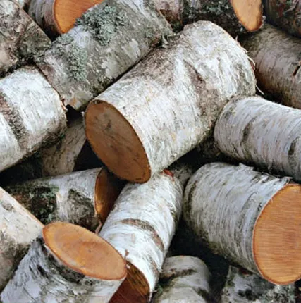 Фото №0 Дрова березовые