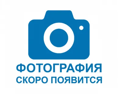 фото Программный модуль обновлений «АВТОАС-КАРГО» вер. 6.х