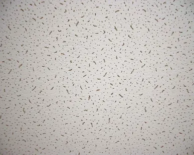 фото Плита "BAJKAL" Board прямая