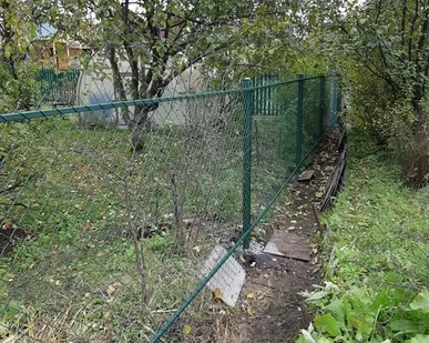 фото Забор из сетки Рабица