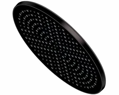 фото R451.50.06 ЧЁРНЫЙ Тропический душ ?250мм RAGLO