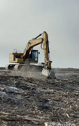 Фото №4 Гусеничный мульчер, расчистка от деревьев