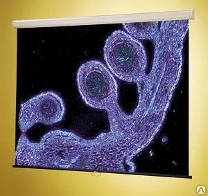 фото Экран Luma NTSC (3:4) 244/96" (100'', 8') 152*203 MW