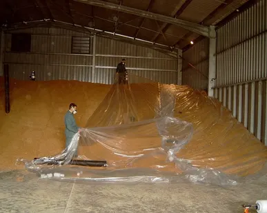 фото Фумигация продукции