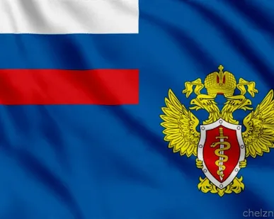 фото Флаг ФСКН России [40х60 см. из ткани Таффета]