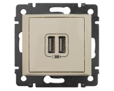 фото Розетка USB 2-м СП Valena сл. кость Leg 774170
