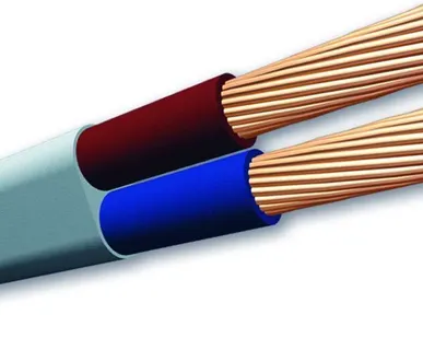 фото Провод ПуГВВ-П 2х4 Б.