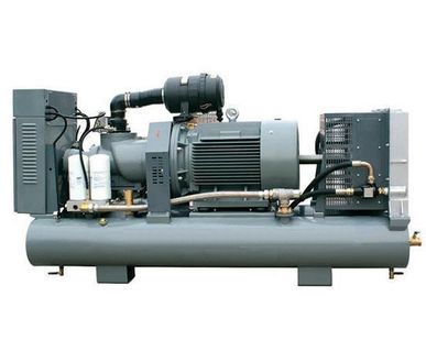 фото Винтовой компрессор с ресивером DL-6.0/8GS