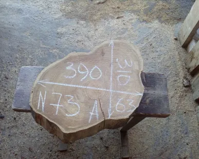 фото Спил карагач № 73 63х310х390