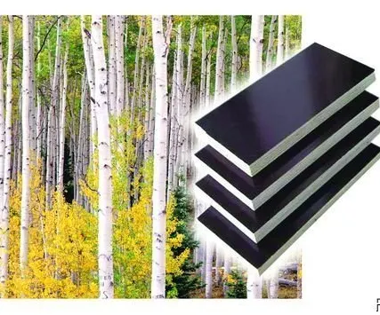 Фото №0 Фанера ламинированная 1.22*2.44 м на 18 мм Россия\Китай