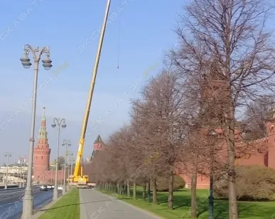 фото Аренда автокрана (автомобильного крана) Liebherr LTM 1200-5.1, Волгоград