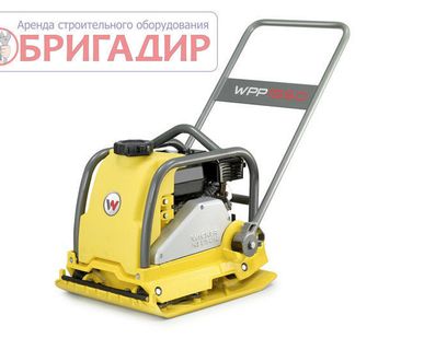 фото Прокат Виброплиты Wacker Neuson 1550а