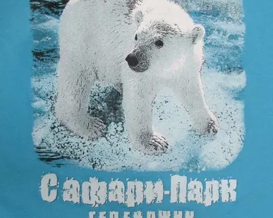 фото Шелкография на текстиле водные и пластизольные краски