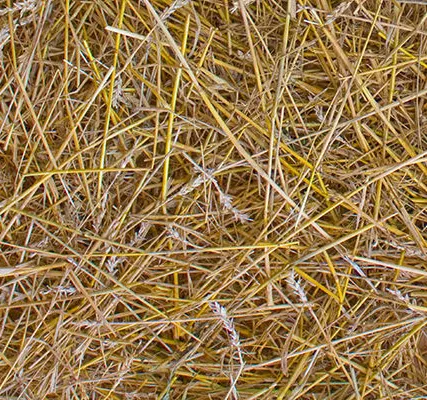 Фото №0 Клеевое пробковое покрытие коллекции Fantasy &amp; Stone Straw