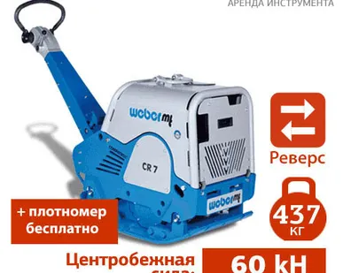 фото 3 – 5 суток